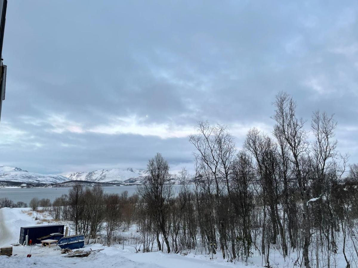 New Modern Apartment - Tromso West Экстерьер фото